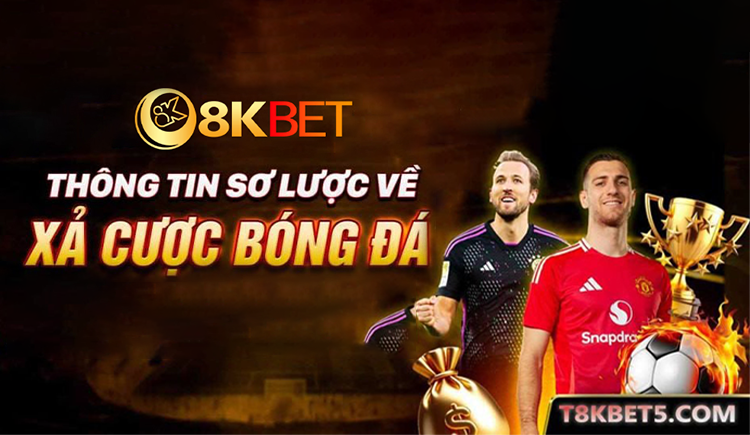 banner nhà cái cá cược uy tín 8kbet